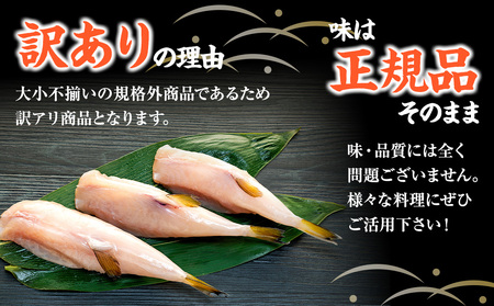 訳あり サバフグ 2kg 鍋 唐揚げ フグ 塩 焼き 小分け 魚 河豚 さかな 魚介 海鮮 新鮮 さかな 海の幸 海産物 グリル ごはん