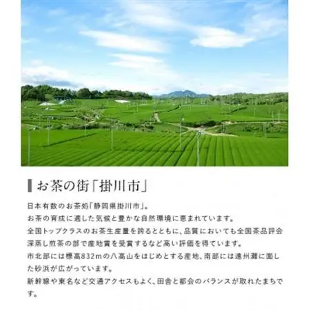 高級茶5種 飲み比べセット 計500g  深蒸し掛川茶 日本茶きみくら【5899】【配送不可地域：離島・沖縄県】【1658772】