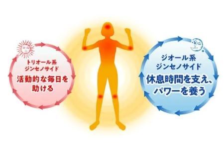 DHC女神の活力30日分 2個セットサプリメント【配送不可地域：離島・沖縄県】【1123923】