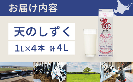 天のしずく 1L × 4本 計 4L【5100701】
