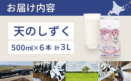 天のしずく 500ml × 6本 計 3L【5100601】