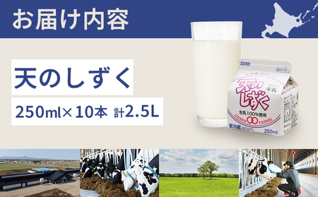 天のしずく 250ml × 10本 計 2.5L【5100501】