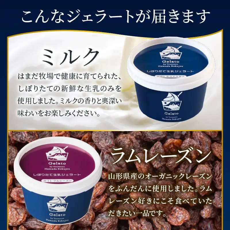 生乳ジェラートセット　3か月定期便（合計36個）　ミルク ラムレーズン キャラメル 限定フレーバー