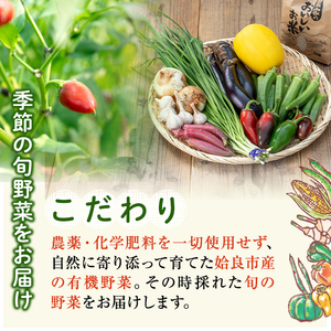 a967 姶良産 有機野菜の詰合せセット(10種前後)【今村農園】姶良市 国産 鹿児島県 野菜 やさい 旬 有機栽培 詰め合わせ 春 夏 秋 冬 季節