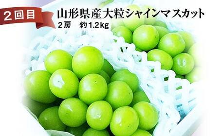 《2026年先行予約》 山形県 至高のフルーツ！ 山形県極上フルーツ定期便 全3回 FSY-2456