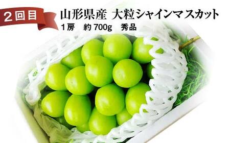 《2026年先行予約》 山形県 至高のフルーツ！ 山形県旬のフルーツ定期便 全3回 FSY-2457