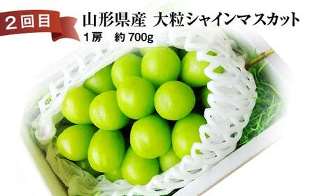 《2026年先行予約》 山形県 至高のフルーツ！ 山形県秀逸フルーツ定期便 全4回 FSY-2460
