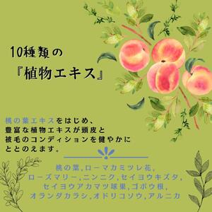 ドッグシャンプー(無香料) 桃の葉エキス配合fairy-land　250ml×1本