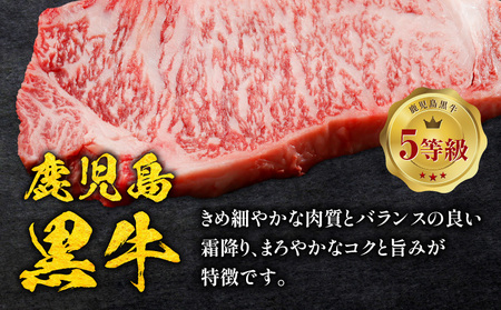 鹿児島黒牛 サーロイン ステーキ 2枚 ・ すきやき 用 セット 計1kg（ E-301 ） C069-001 肉 牛肉 冷凍