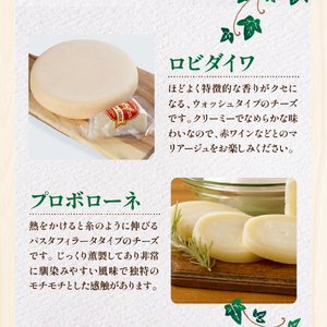 【国内外コンテスト受賞！】奇跡のチーズセット（ナチュラルチーズ 乳製品）　　