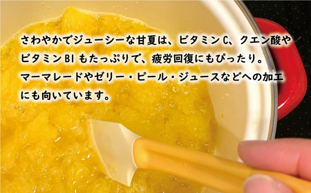 訳あり 甘夏 10kg 甘夏