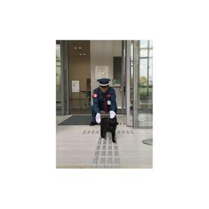 尾道市立美術館オリジナル「黒ねこ刺繍Tシャツ（赤・Ｍサイズ）＆警備員ピンバッジ」（Ｔシャツ刺繍位置：袖）