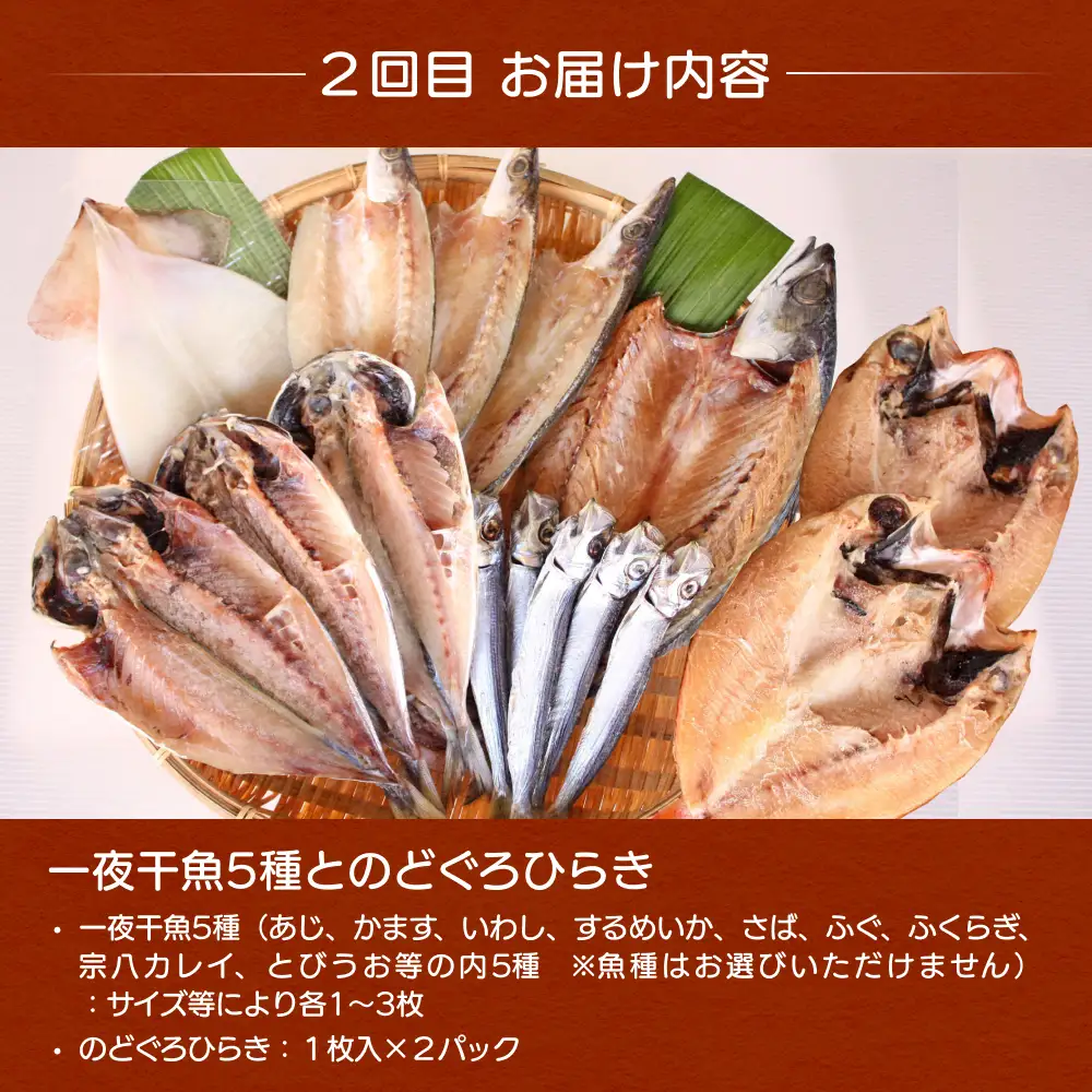 【5ヶ月隔月お届け】氷見堀与 一夜干・昆布〆刺身・山海の幸詰合＜氷見鰤・蛍いか・のどぐろ入＞ 富山県 氷見市 干物 詰め合わせ 魚介類