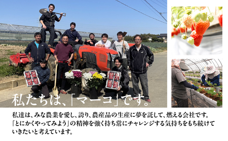 紅ほっぺをたっぷり使ったいちごバター 3個入り （140g × 3）