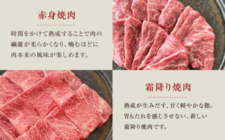熟成黒毛和牛食べ比べセット [AOAS003]ステーキ