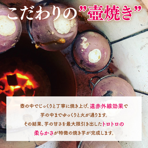 【日本さつまいもサミット2025-26　ファーマーズ・オブ・ザ・イヤー受賞】冷凍 壺焼き芋 紅はるか1kg（500g×2）（IN-11)