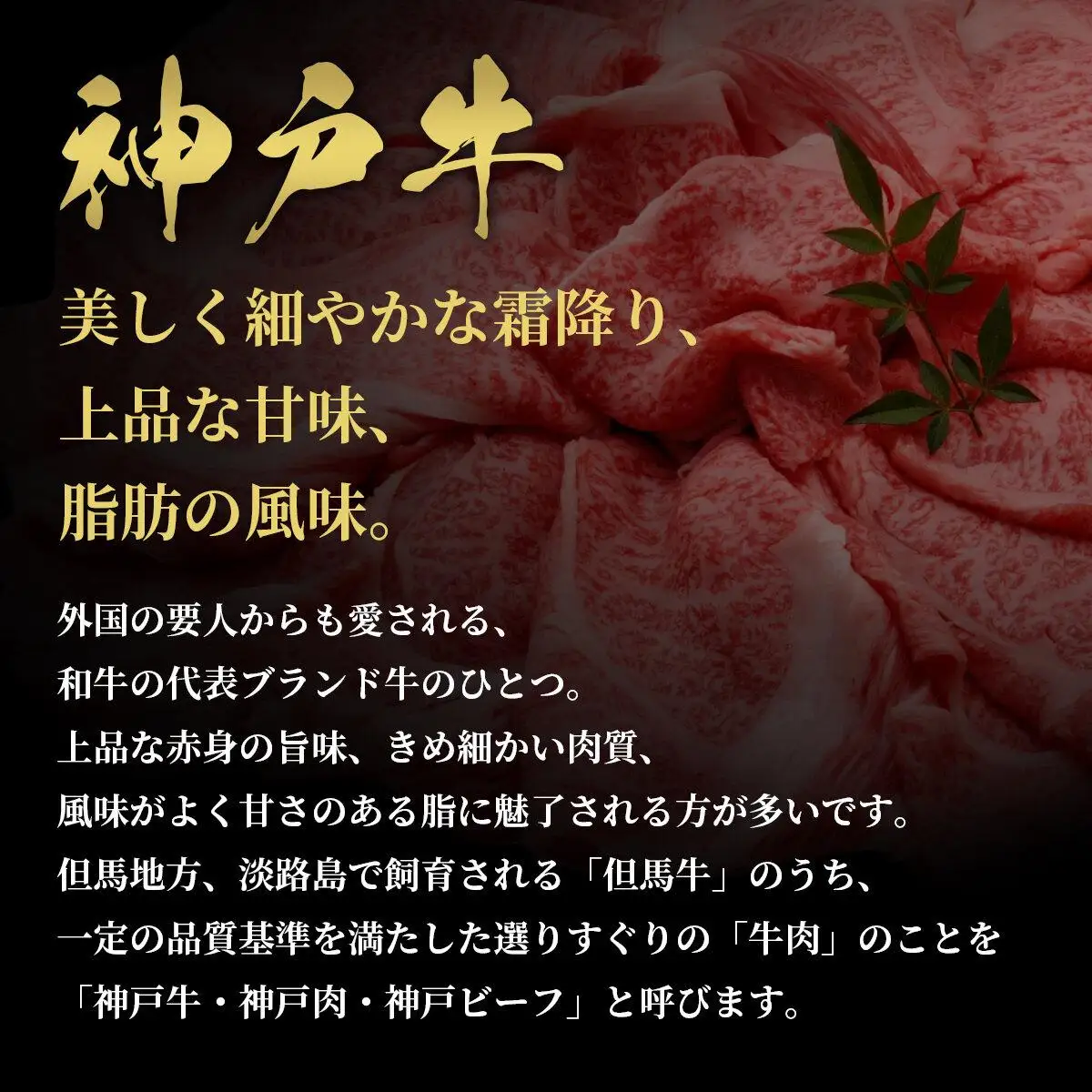 【和牛セレブ】半一頭分（一括配送）