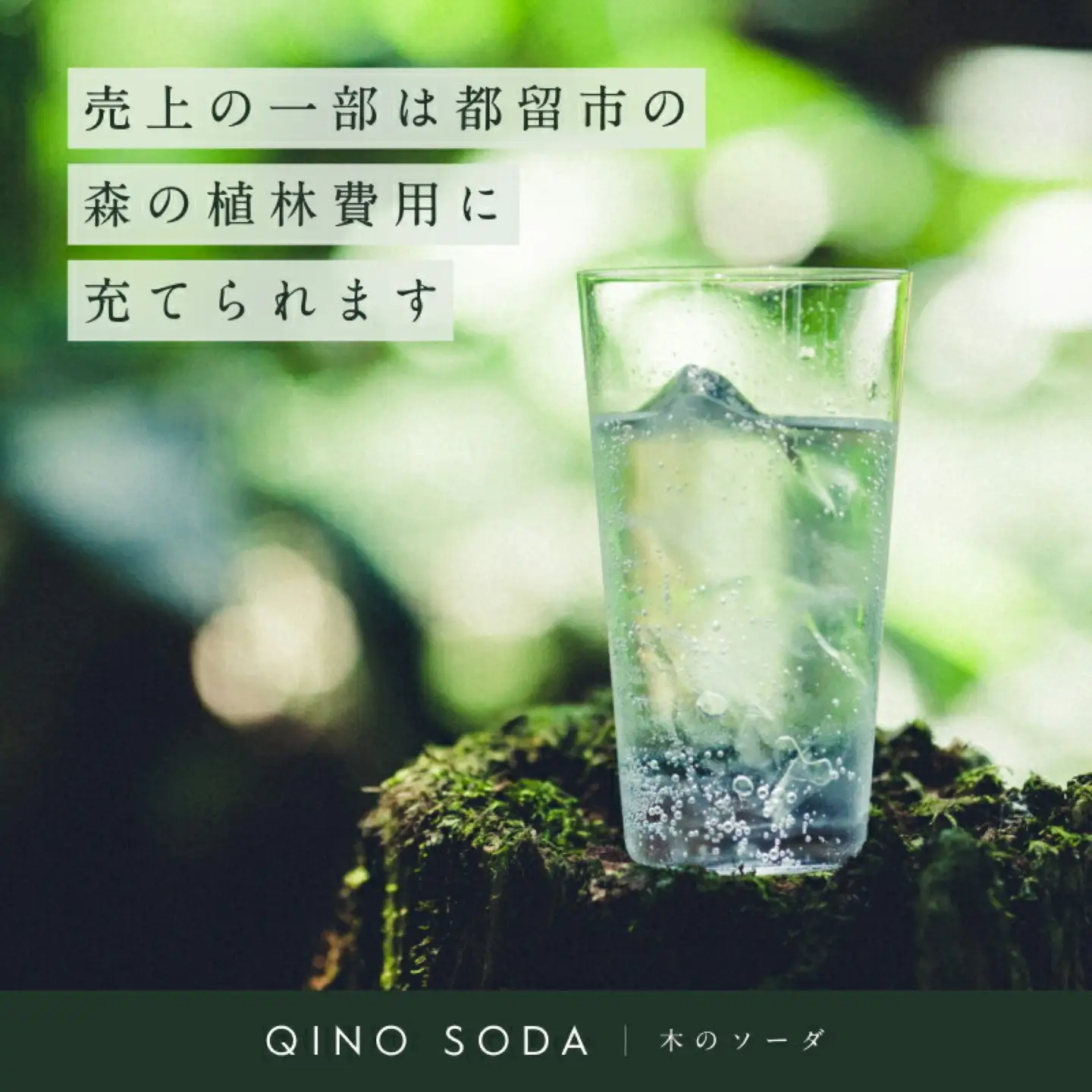 QINO SODA 杉 - 富士山麓 -　炭酸　炭酸水　杉　ソーダ水　木のソーダ