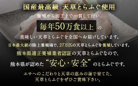 国産 最高級!! 天草とらふぐセット 河豚 ふぐ トラフグ 刺身 刺し身 さしみ 魚 お魚 さかな 魚介