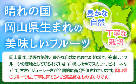 岡山県 旬の白桃 約2kg 花田青果株式会社 桃 もも