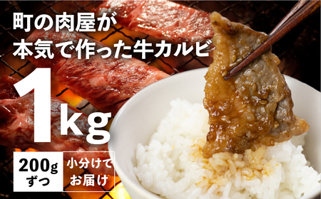 焼肉&むきエビ 定期便6回 1.7kg 牛肉 えび