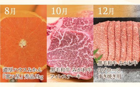豊橋 どうまい 定期便 プレミアム 全6回 鴨 鍋 / いちご / うなぎ / みかん / ステーキ / 和牛 牛肉 定期 高評価 お楽しみ 鴨肉 フルーツ 鰻 苺  冷凍 訳あり 海鮮 半年 6回 期間限定 数量限定 定期 6ヵ月