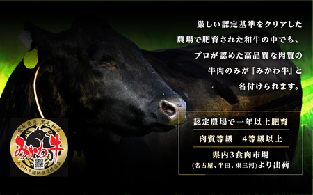 黒毛和牛 みかわ牛 切り落とし 1kg 牛肉