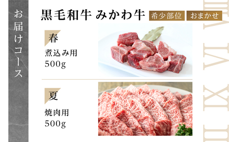黒毛和牛 みかわ牛 希少部位 定期便4回 牛肉