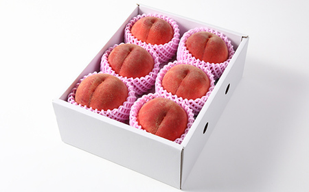 【先行予約（2026年9月より順次発送）】硬め白桃 約2kg（5玉～9玉）秀品 FSY-2532