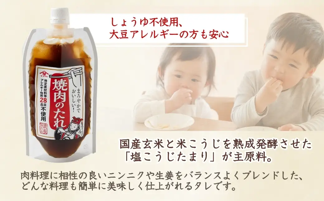 熟成塩こうじ 200g×10個 山崎醸造 | こうじ