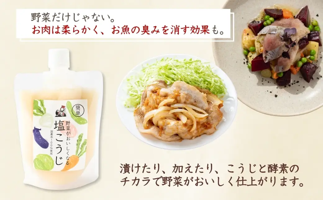 野菜がおいしくなる塩こうじ 250g×6個入 山崎醸造 | こうじ