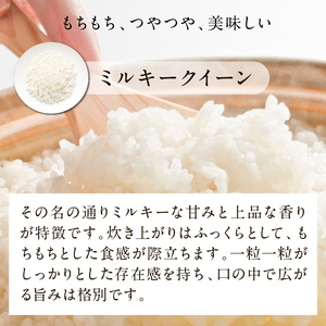 【最短翌日発送】 パックご飯 ミルキークイーン 甘み豊か もちもち 160g×18食｜パックご飯 スピード 茨城県 行方市(HE-2-1)