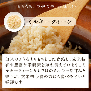 【最短翌日発送】 パックご飯 ミルキークイーン 玄米 甘み豊か もちぷち 160g×18食｜パックご飯 スピード 茨城県 行方市(HE-3)