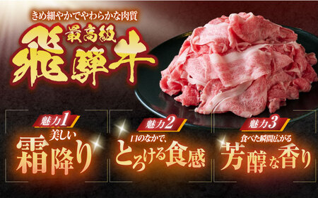 ※冷蔵配送/地域限定※ 飛騨牛 小間切 450g 瑞浪市 / きなぁた瑞浪 和牛 国産 岐阜県産 [AZCI026]