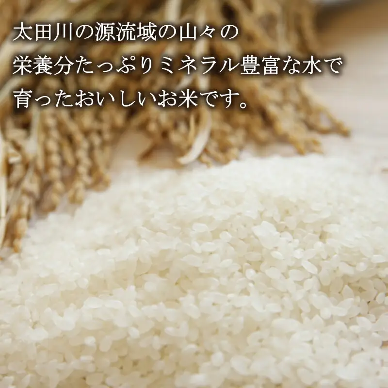 精米 コシヒカリ 10kg 「源流米 今吉田」 2025年産 米どころ北広島町のおいしいお米_KI108_002