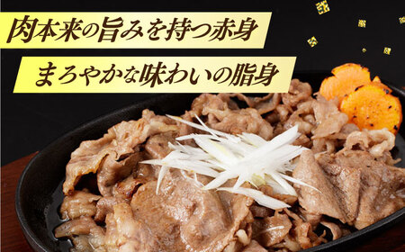 長崎和牛 切り落とし (300g×3) 牛肉切り落とし 牛肉切り落とし 牛肉切り落とし  [DBU001]