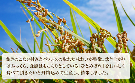 【 令和7年産 】米 ひとめぼれ 精米 10kg ( 5kg × 2袋 ) 