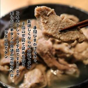 牛タン あっさり塩茹でタン 120g × 10個 出汁 セット タン塩 塩タン 温めるだけ 小分け 冷凍配送