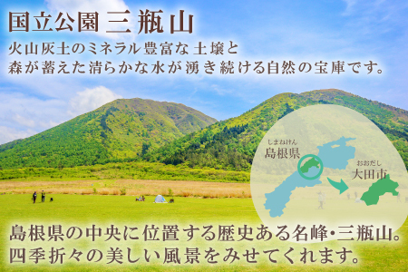 さんべサーモン 400g【サーモン 400g フィレ サーモントラウト ニジマス サーモン さけ シャケ しゃけ sake 生食用 刺身 お刺身 刺し身 魚介類 海鮮 冷凍 真空パック】