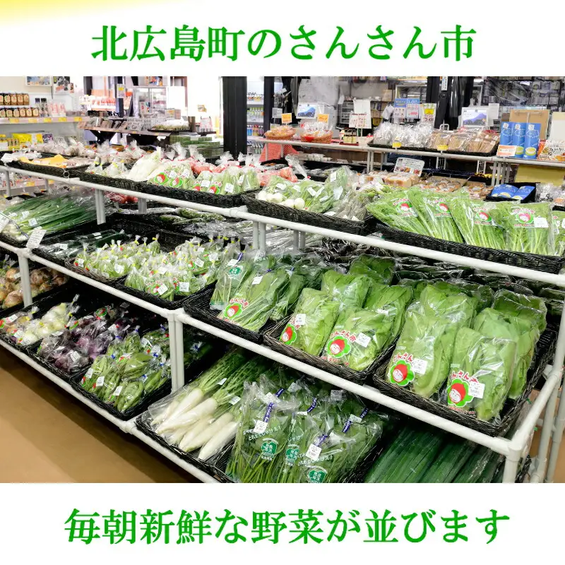 『定期便』全3回 野菜 おまかせセット 毎月届く定期便 旬 道の駅直送 季節野菜 豊平どんぐり村 さんさん市_SA073_001s3