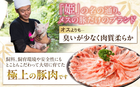 豚肉たっぷりセット約2.9kg [BAER024] 豚肉