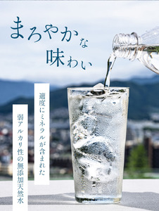【 定期便 6回 】【 平成の名水百選 】 君津市 久留里の名水 生きた水 ・ 久留里 ペットボトル 2ケース 48本（ 1ケース 500ml ペットボトル 24本 × 2 ）× 6回  | ミネラルウォーター 飲料 ドリンク 水 みず 名水 無添加 天然水 弱アルカリ性 軟水 久留里の水 安全 常備 国産 くるり 千葉県 君津 きみつ