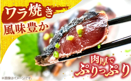 【4回定期便】完全ワラ焼き鰹たたき「龍馬タタキ」 (家庭用) 2節セット / かつお カツオ カツオのたたき 高知 わら 【株式会社Dorago】[ATAM035]