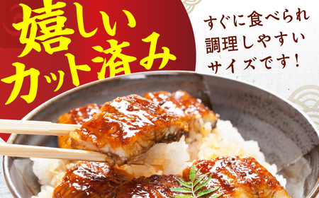 【12回定期便】刻み鰻個食パック 計1kg（100g×10P） / うなぎ 鰻 ウナギ きざみウナギ 刻み鰻 うなぎ ウナギ 鰻[AFBS004] うなぎ ウナギ うなぎ 鰻