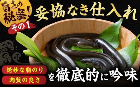 【6回定期便】特大蒲焼（220g×2尾） / 鰻 うなぎ ウナギ かば焼き 蒲焼き ウナギ うなぎ 鰻 鰻の蒲焼き うなぎ[AFBS007] うなぎ ウナギ うなぎ 鰻