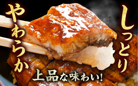 【訳あり】国産うなぎ（100g×3尾） / うなぎ 鰻[AFBS009]