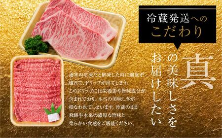 飛騨牛 サーロインステーキ A5 ２枚 肉の沖村 飛騨牛 [F0044] 