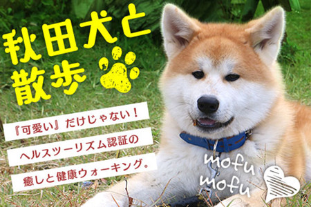 秋田犬と散歩 利用券【小人1人（12歳まで）】ウォーキングガイド同行