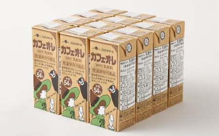 【3か月連続定期便】 カフェオレ 200ml 12本×3回 計36本 飲料 コーヒー飲料 コーヒー ミルク ドリンク 紙パック 定期便 長期保存 熊本県