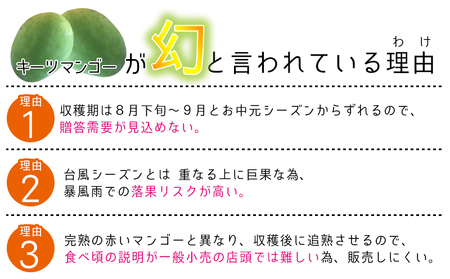 マンゴー【2026年発送先行予約】キーツマンゴー優品2kg以上